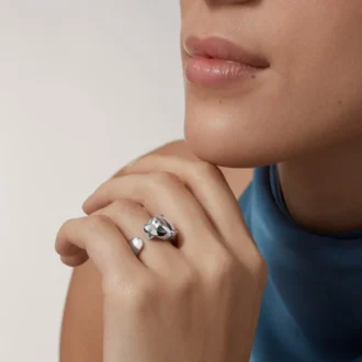 Inel Panthere De Cartier – Aur alb, granate tsavorite, onix – Cartier