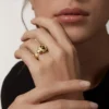 Inel Panthere De Cartier din aur galben și onix | Cartier SUA