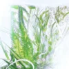 Rezervă de parfum Geranium – Rivieres De Cartier | Cartier