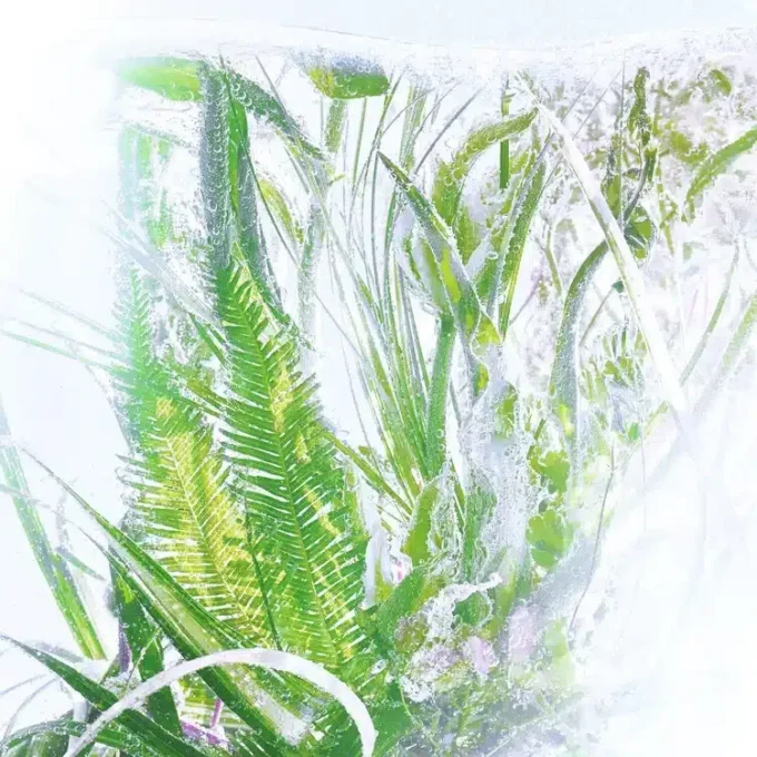 Rezervă de parfum Geranium – Rivieres De Cartier | Cartier