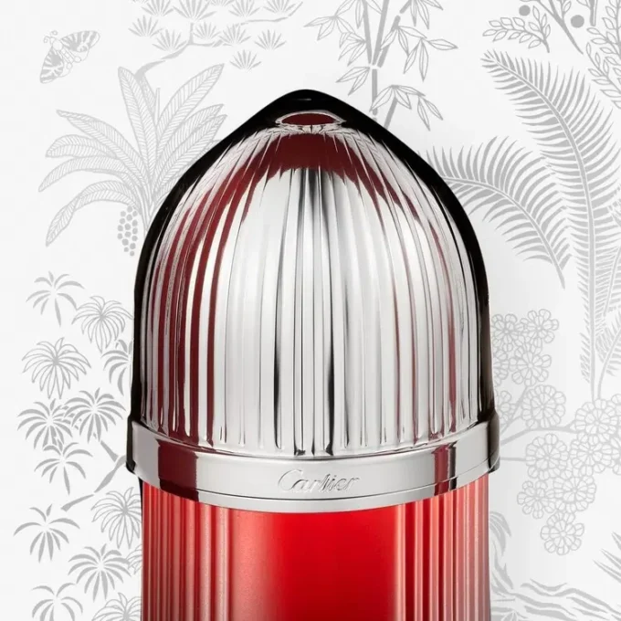 Set cadou Pasha De Cartier Sport Edition