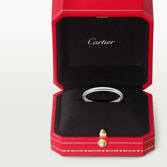 Verigheta 1895 – Platină – Cartier Verigheta 1895 – Platină – Cartier