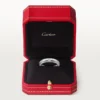 Verigheta 1895 – Platină, Diamant – Cartier Verigheta 1895 – Platină, Diamant – Cartier